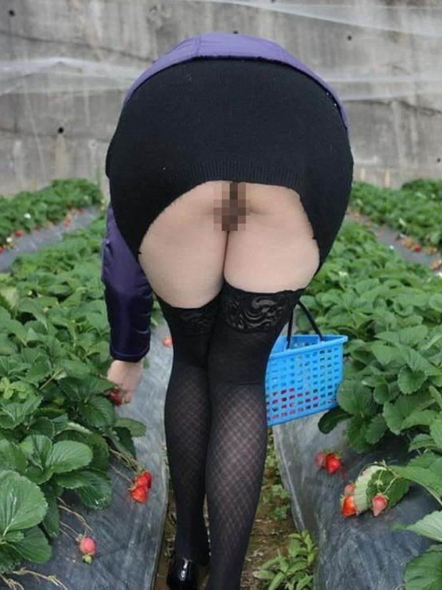 Girls in pantyhose without panties