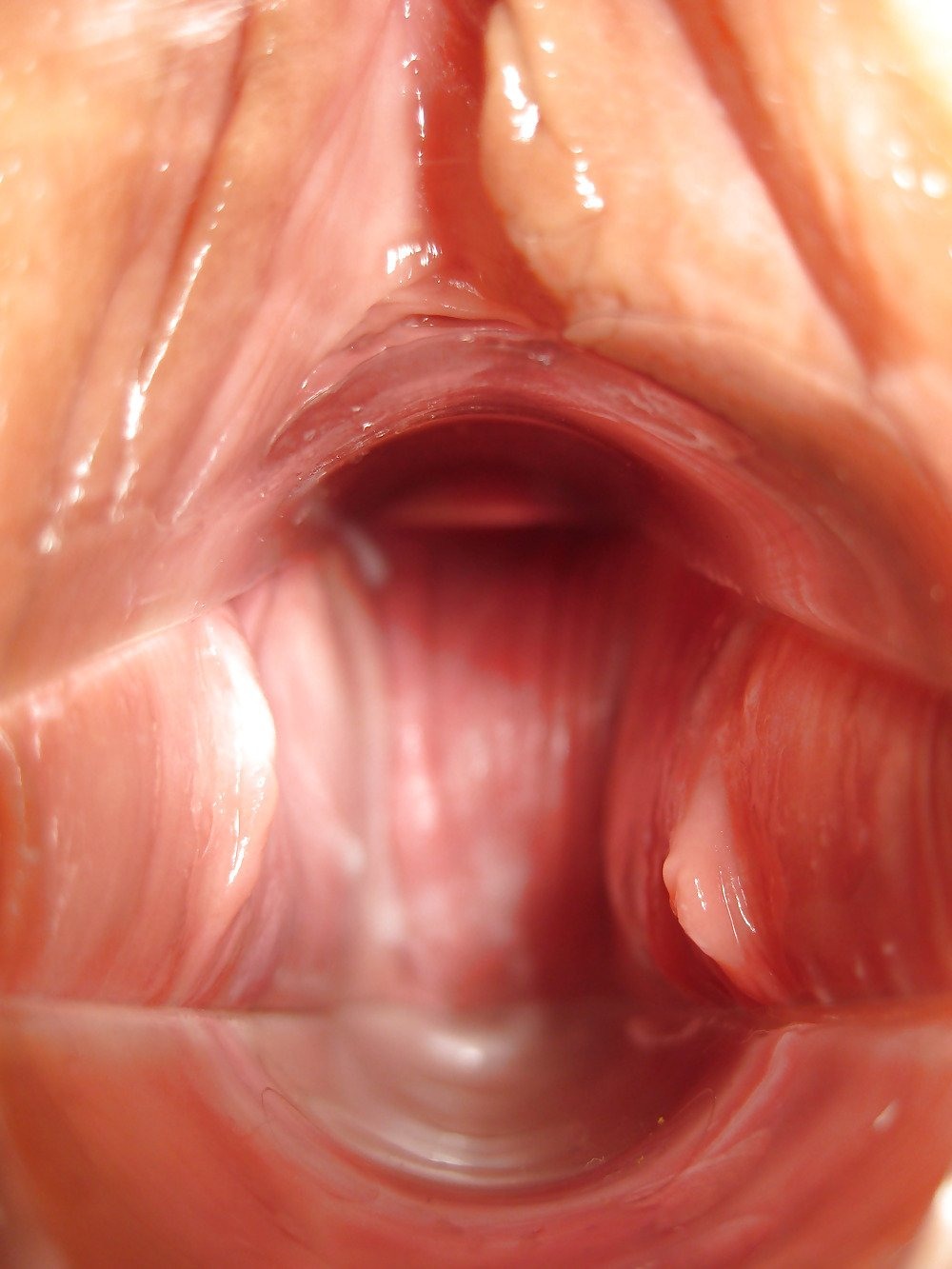 Pussy view from the inside