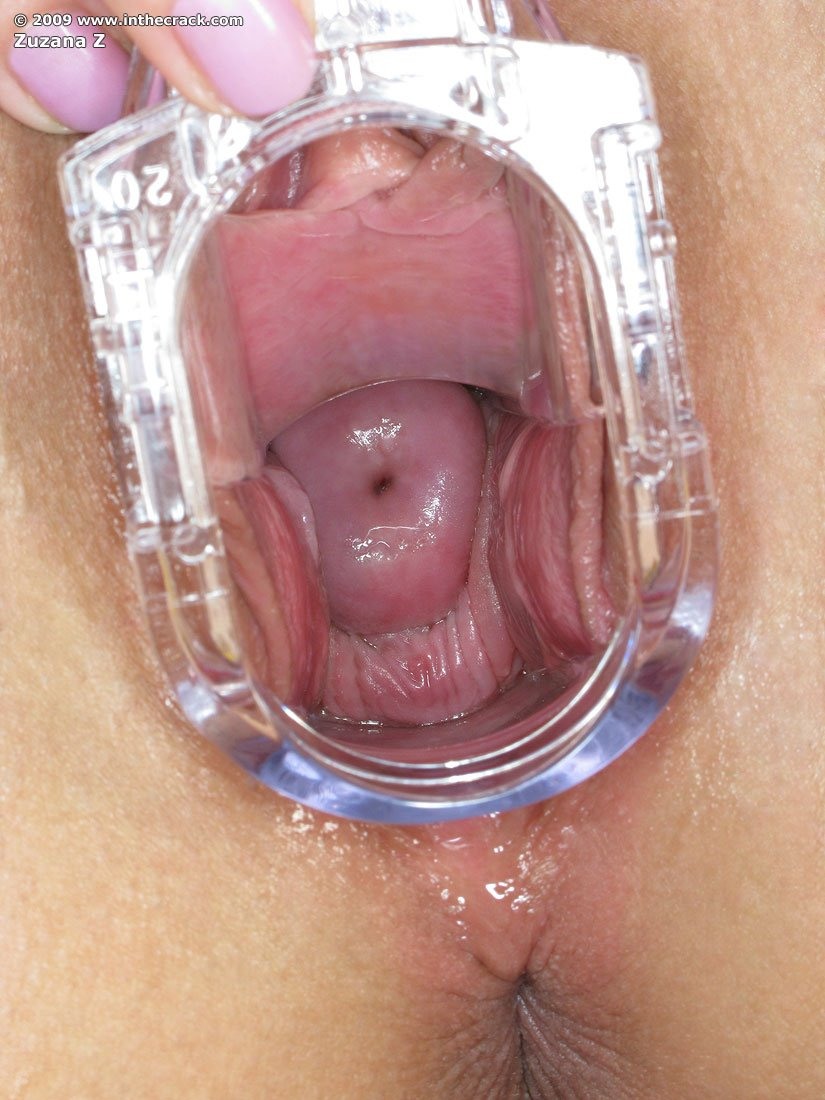 Women's vagina inside