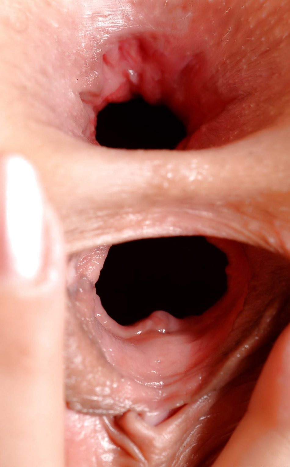Women's vagina from the inside