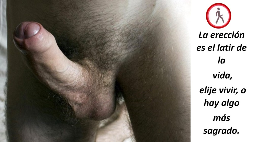 Male penis -cut dick
