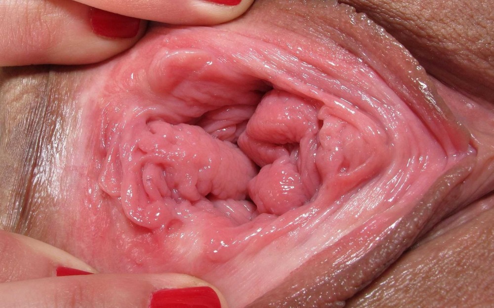 Inside the vagina of a virgin