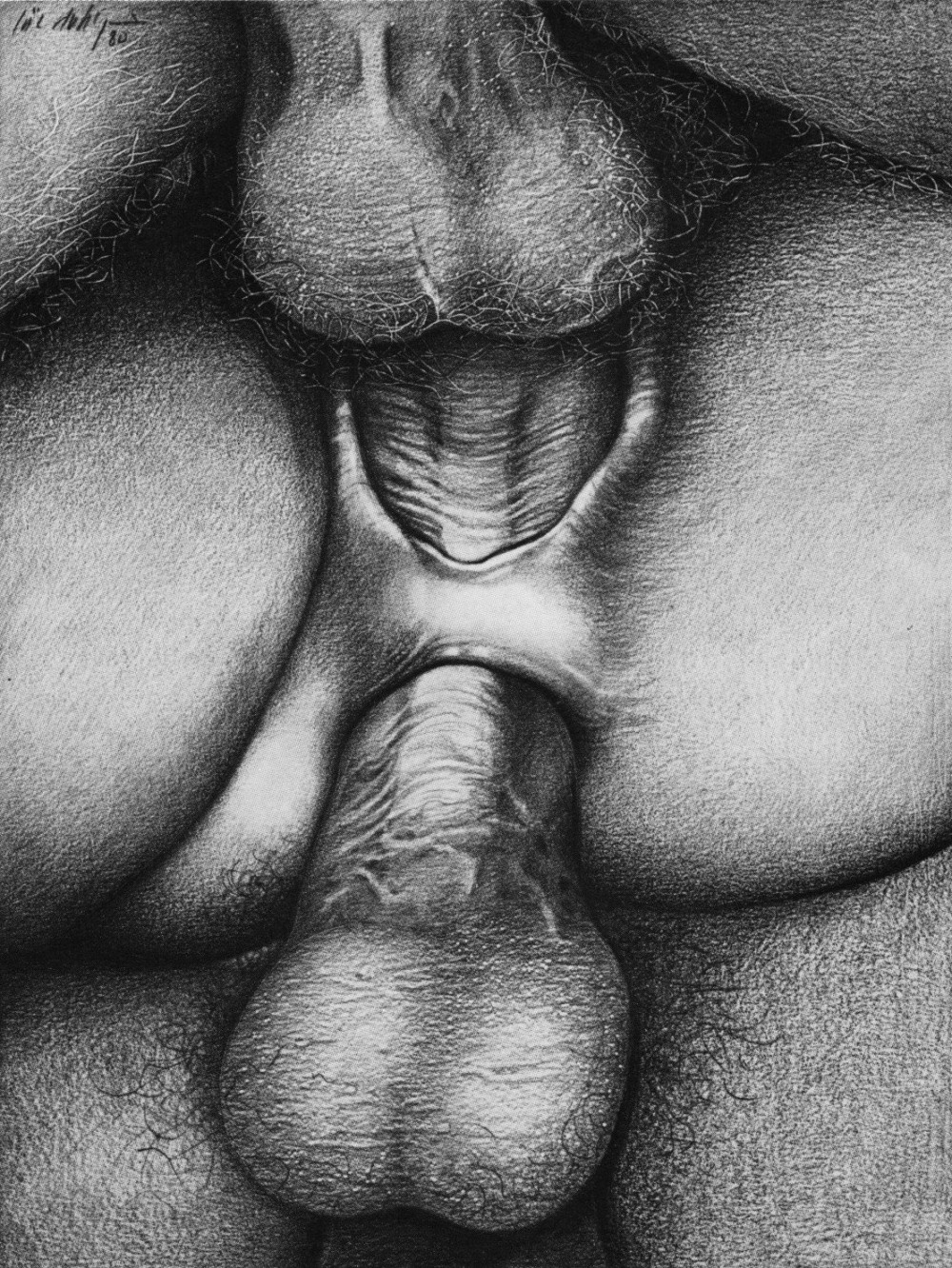 Photo of the vagina close -up