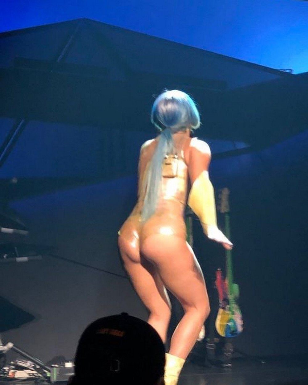 Lady Gaga Naked Vagina