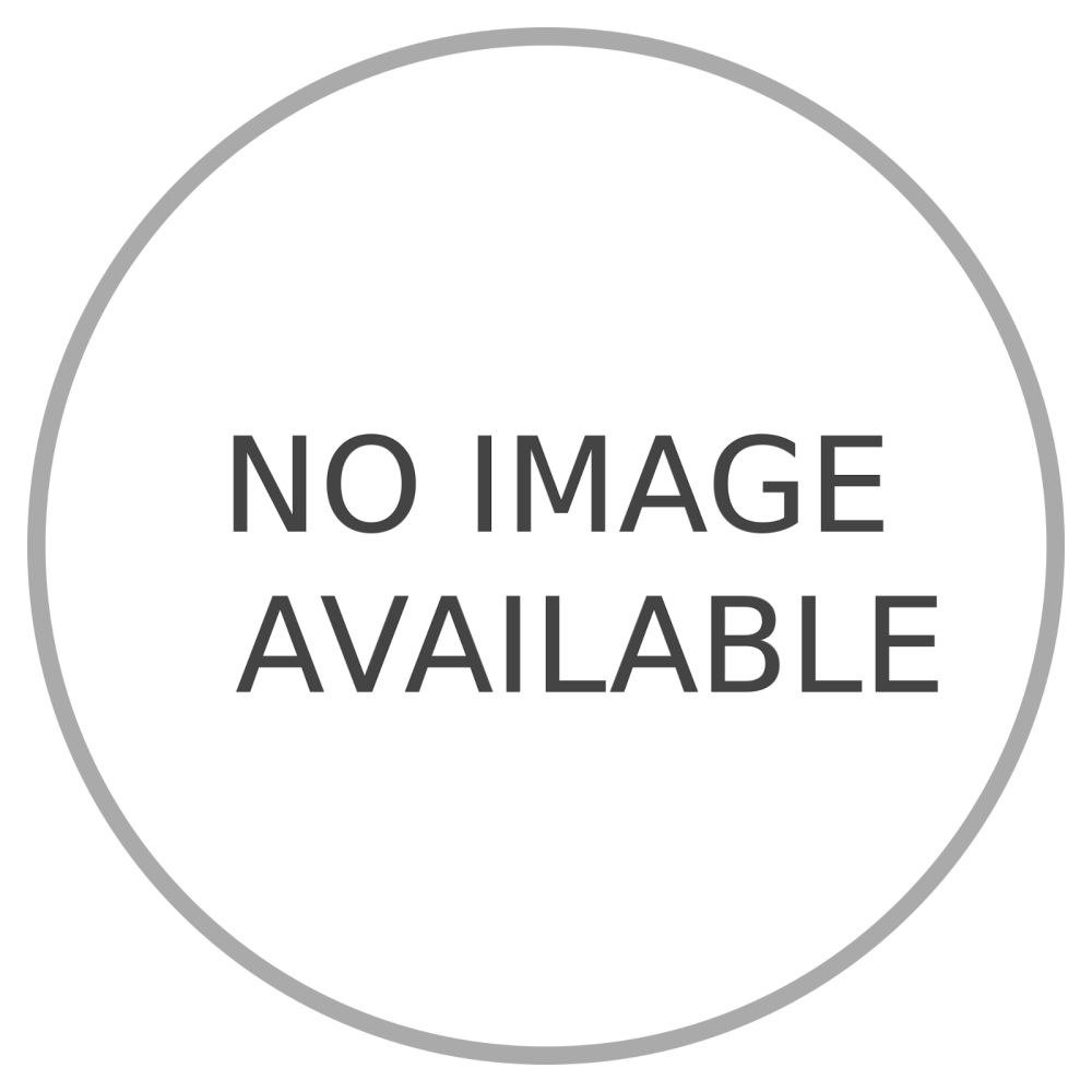 FBT LS 61A subwoofer