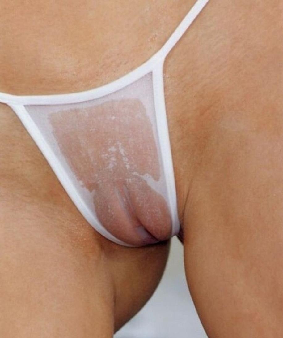 Women's vaginas in panties