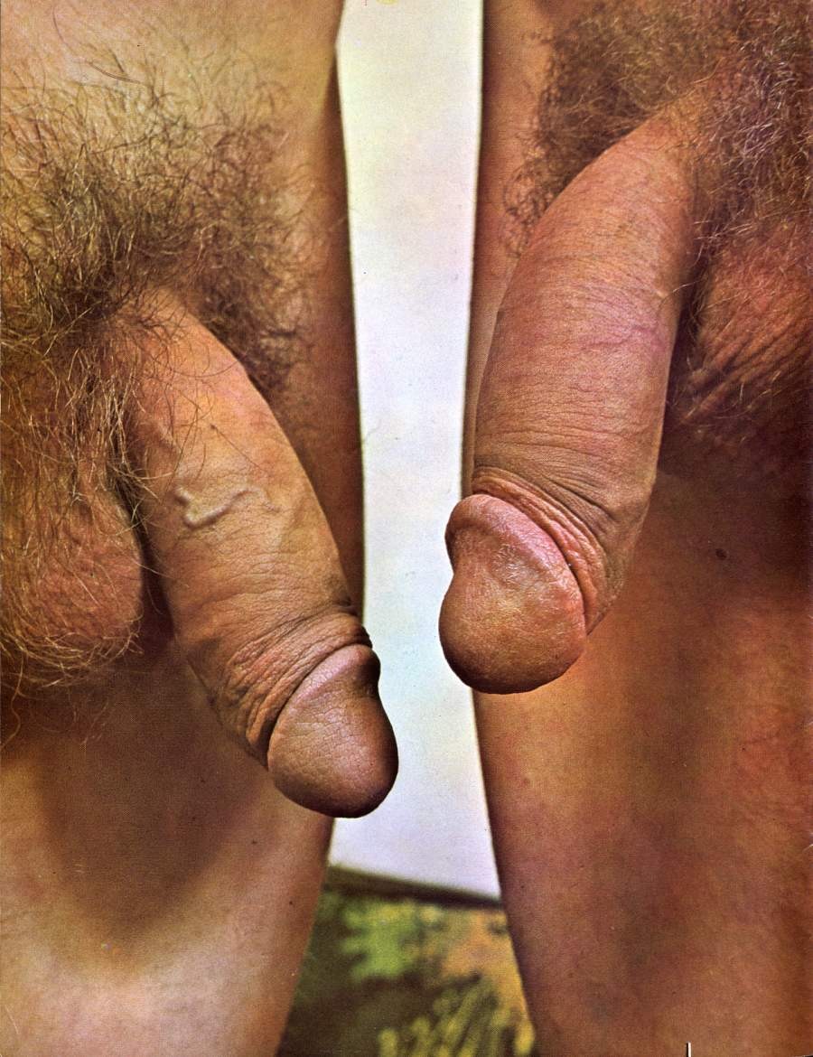Huge cock close -up