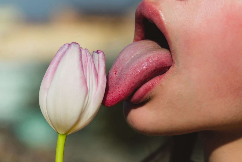 Tulips and lips