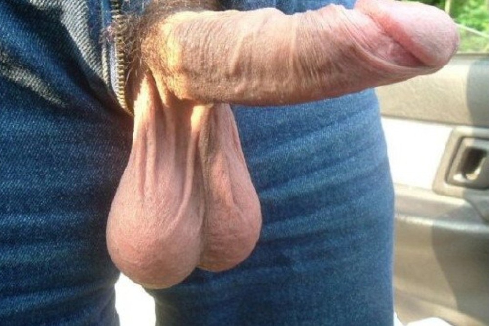 Men's penis with large eggs