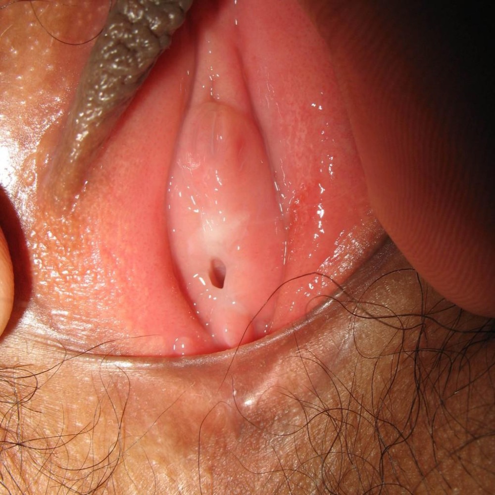 Women's vagina inside