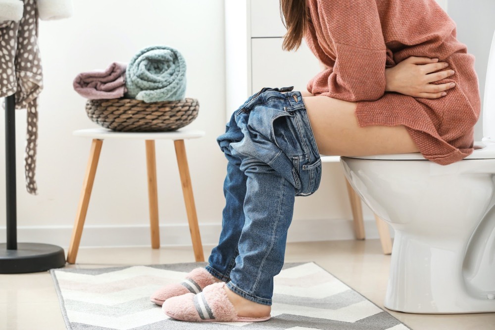 Girl on the toilet with a laptop