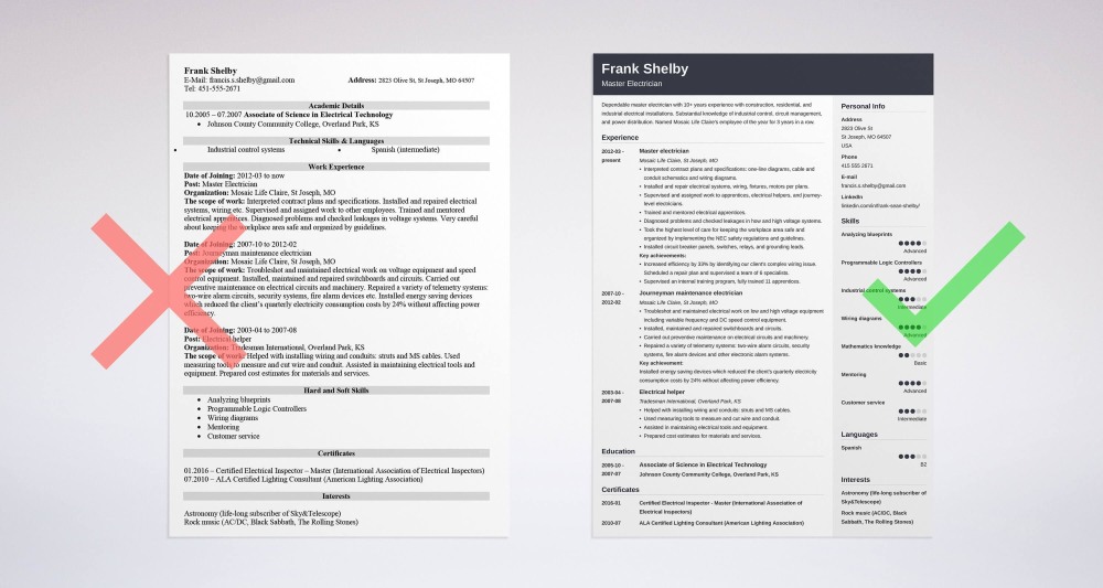 The resume of the programmer