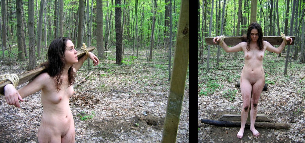 Erotic adventures in the jungle
