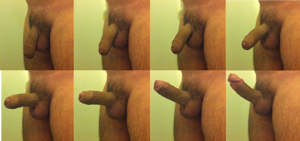 Erect Gay Penises