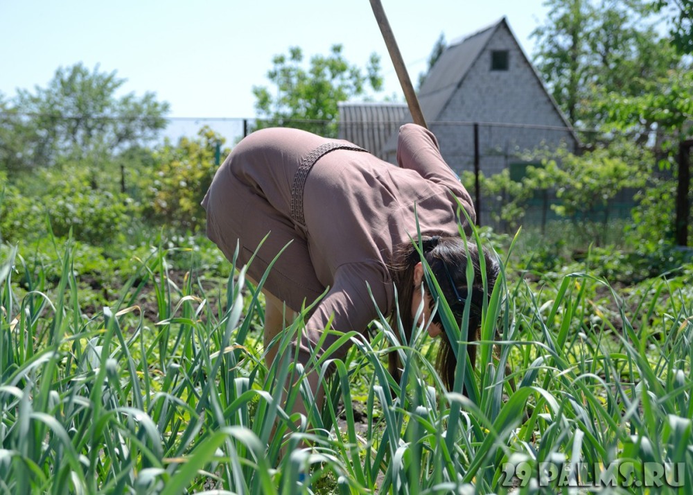 A woman in the garden