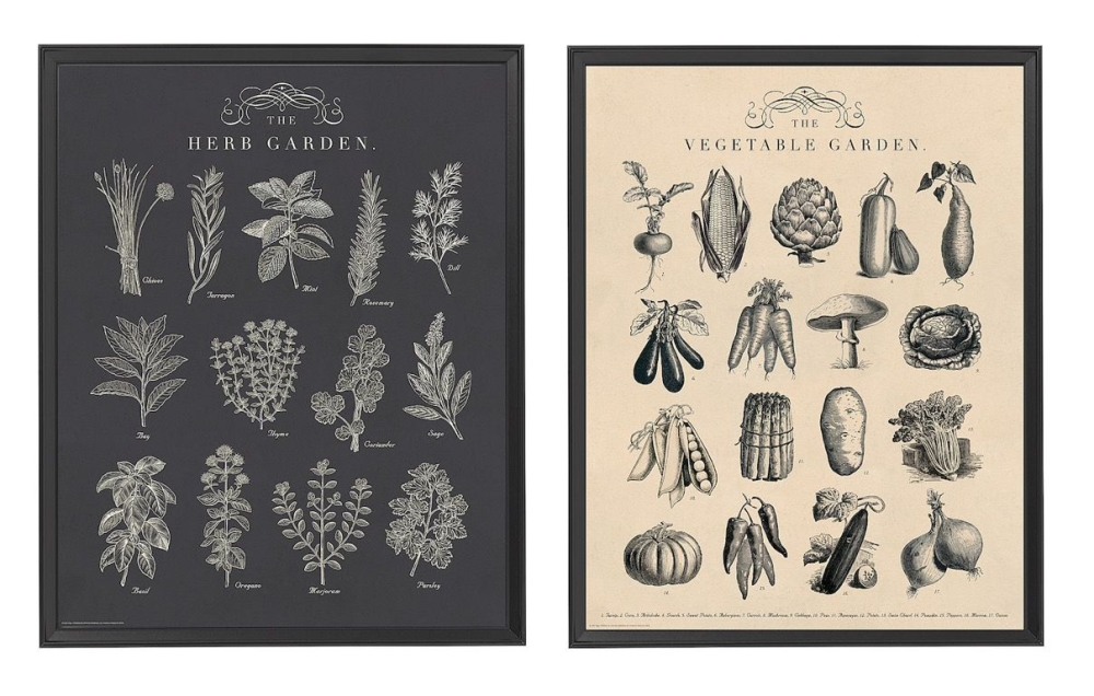 Ikea poster Vegetable Garden