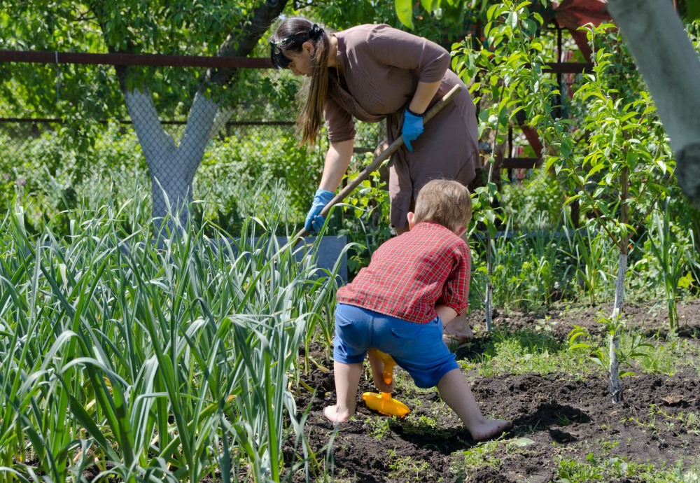 Boy in the garden