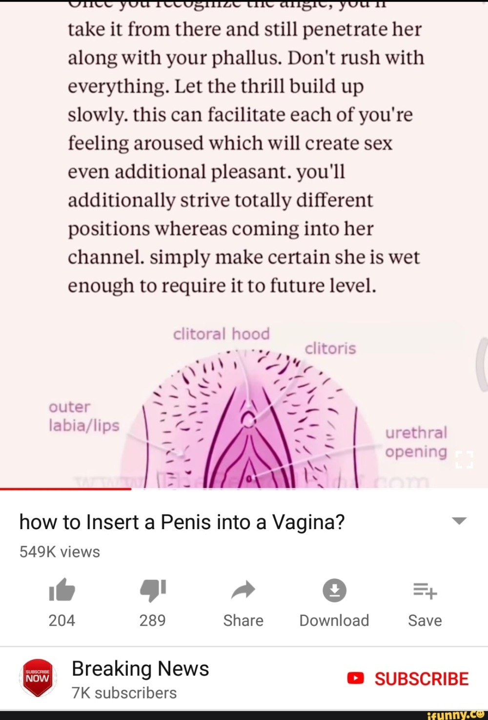 Beautiful member in the vagina