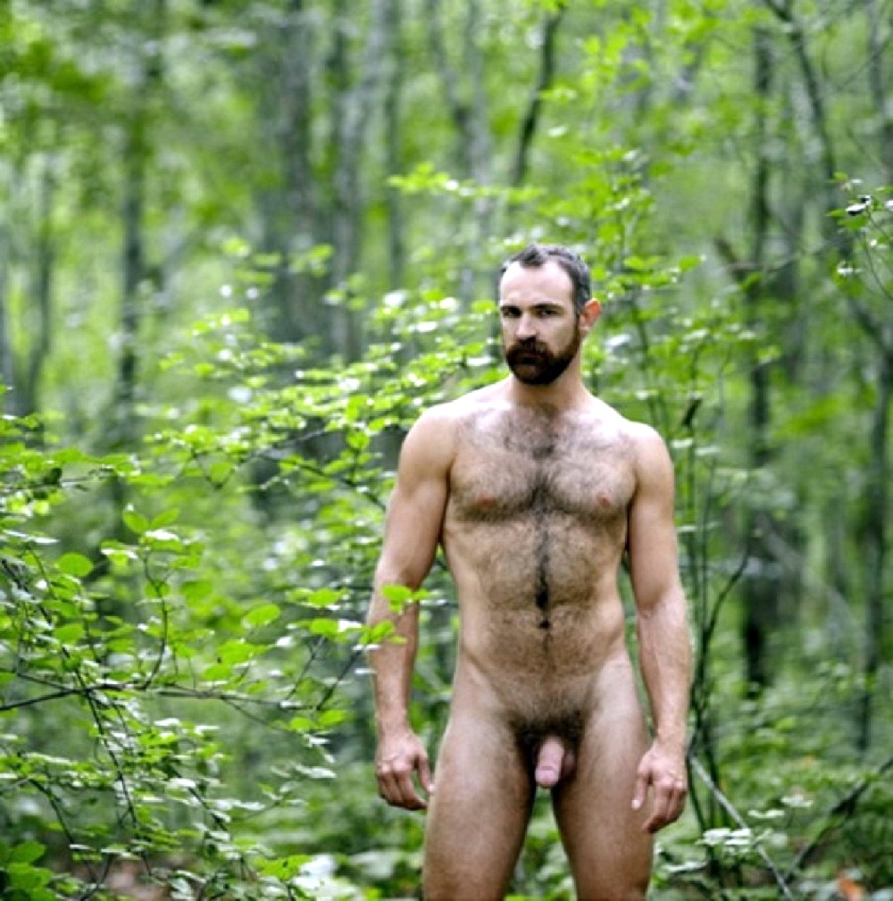 Sex Outdoors in the Woods pictures