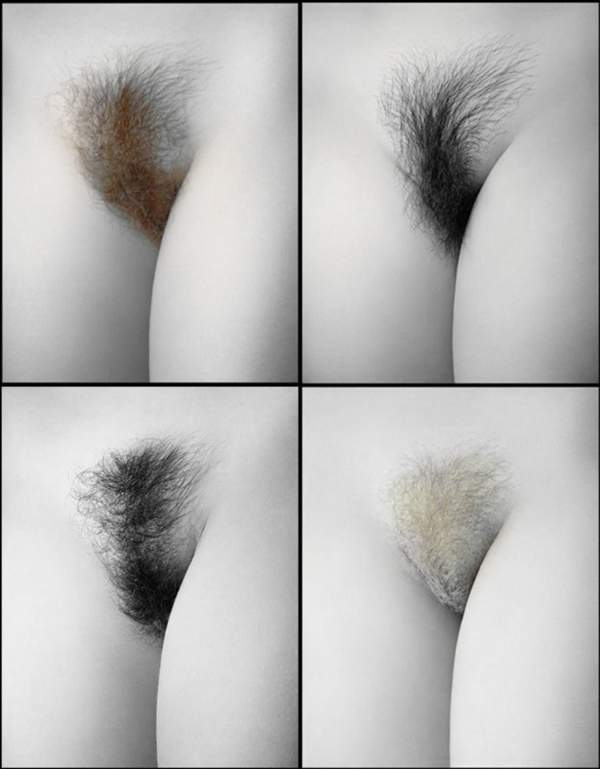 Beautiful pubic hair