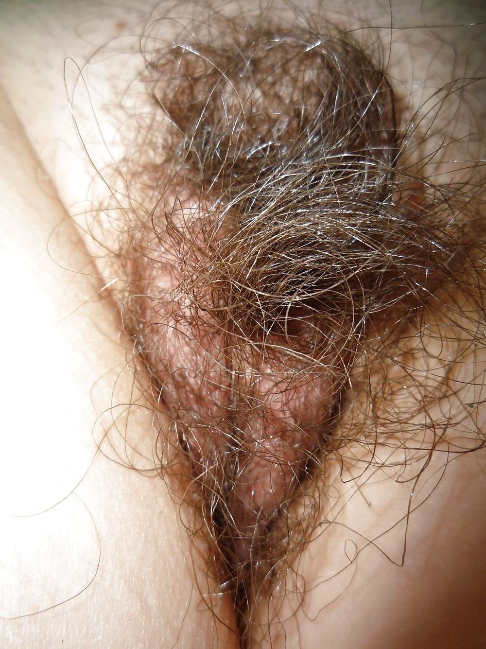 Curly pubic hair