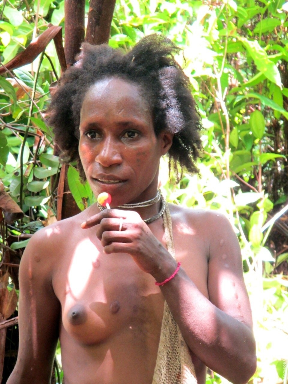 Tits Papua New Guinea