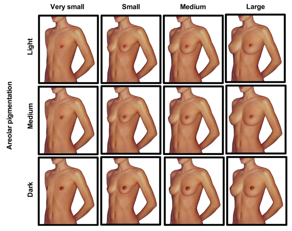 Different figures of naked women
