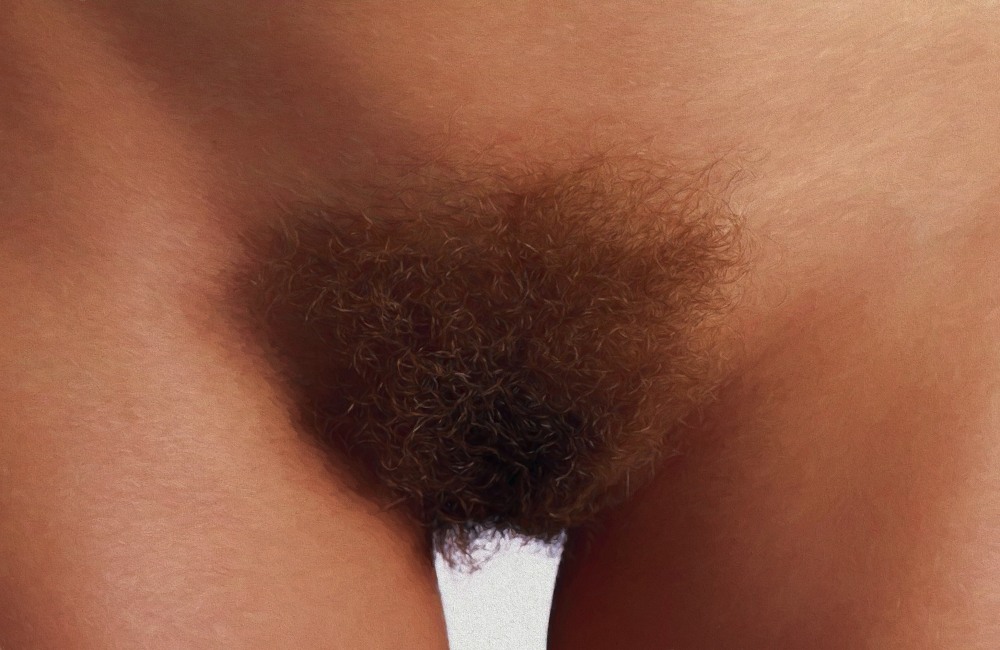 Brown hair on the pubis