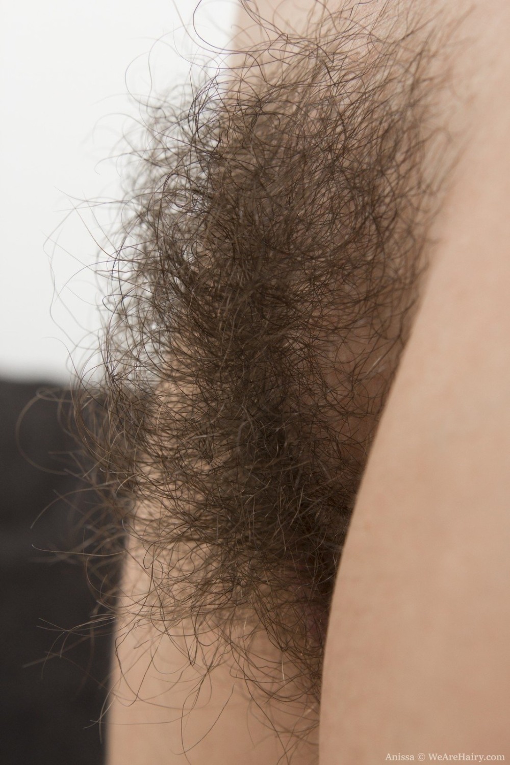 Close -up