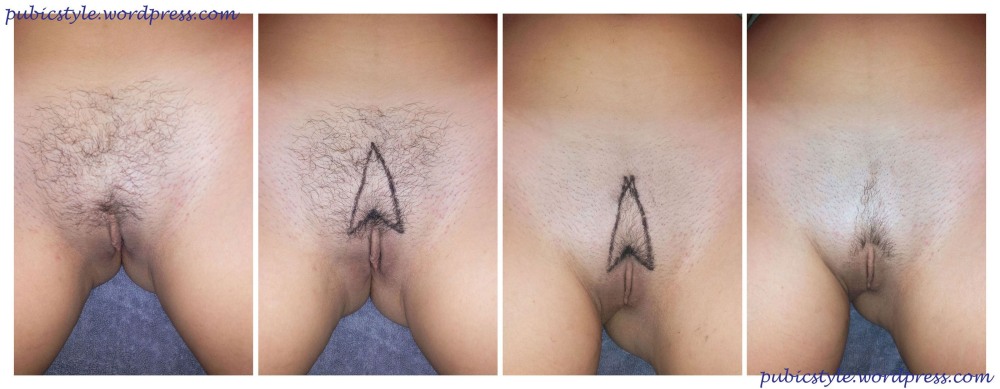 Female hairstyles on the pubis