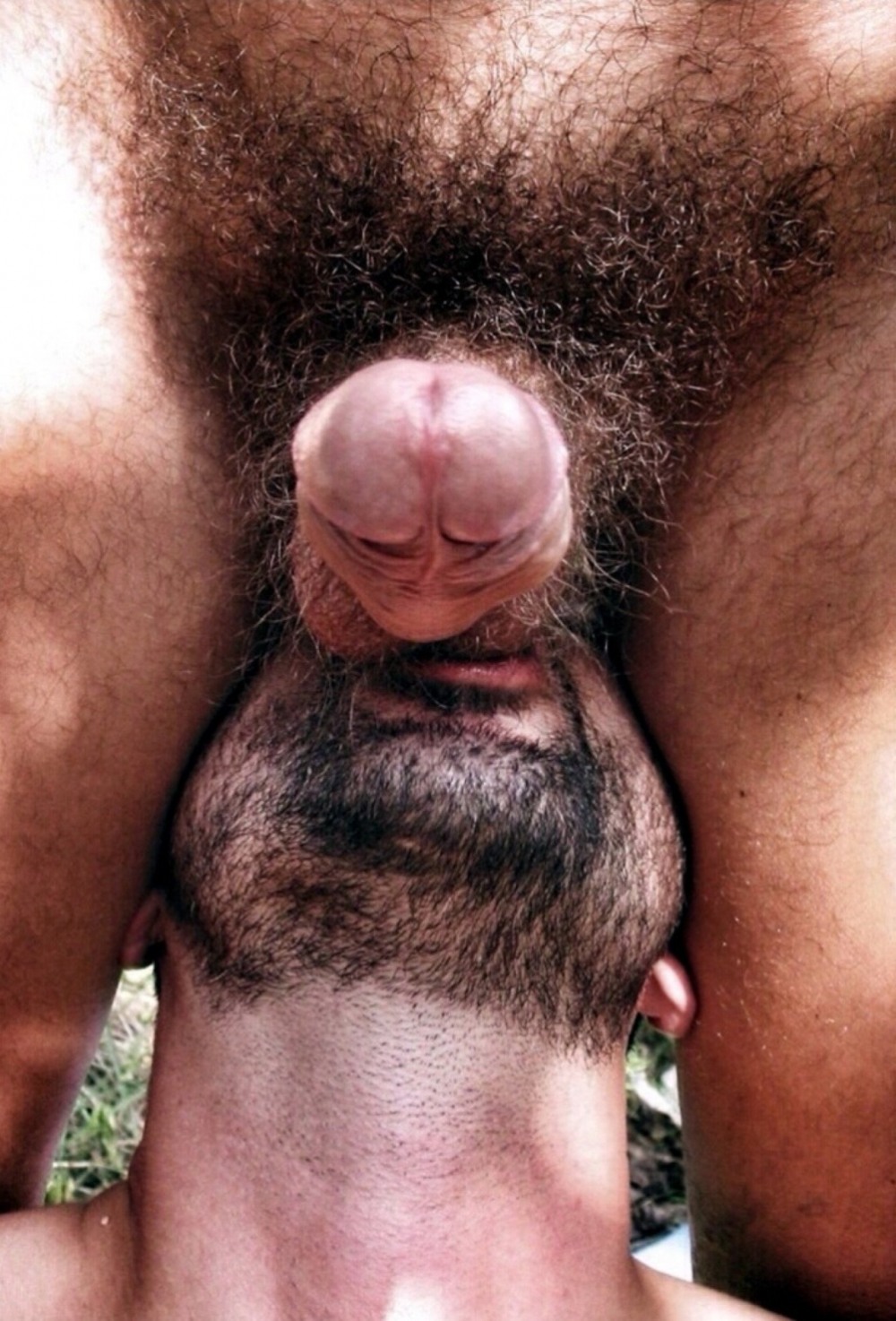 Erective ring on the penis