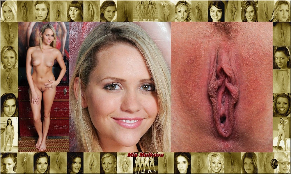 Face and Vagina celebrities