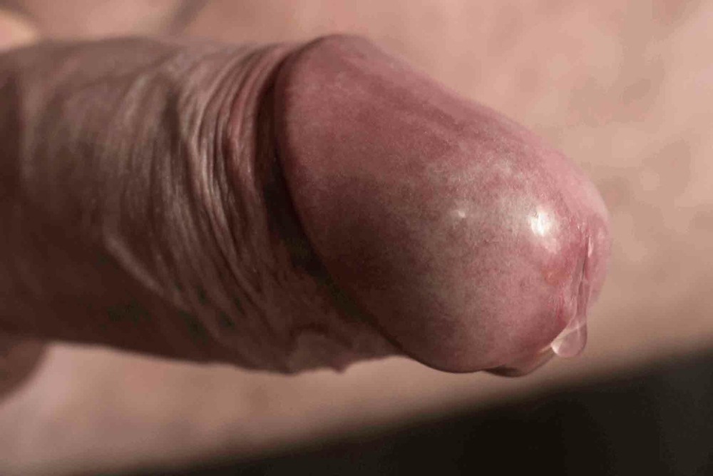 Red Cock