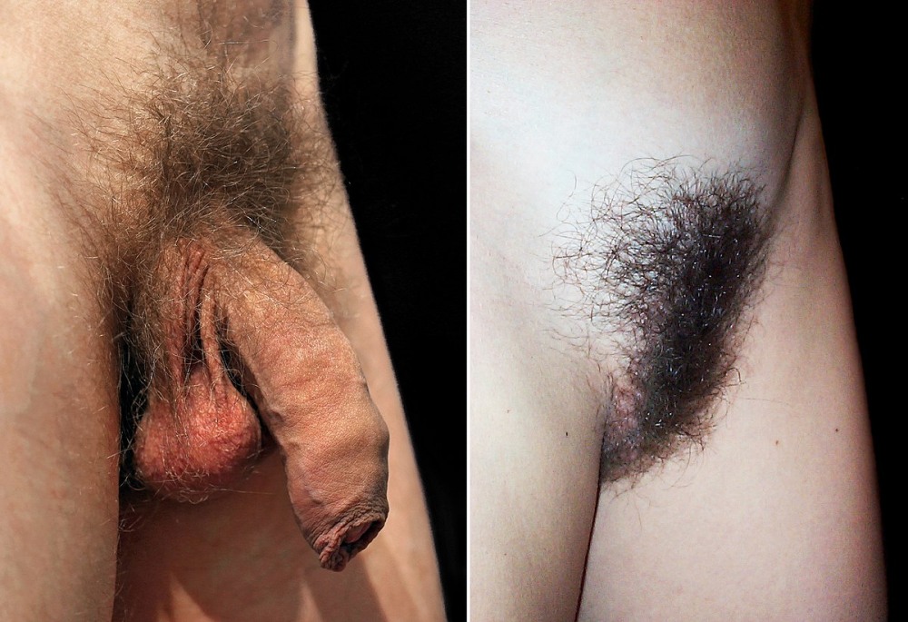 Men's and female shaved genitals