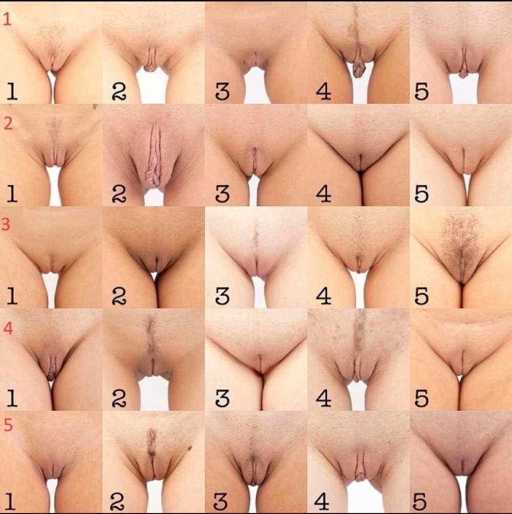 Gloval of female pubis