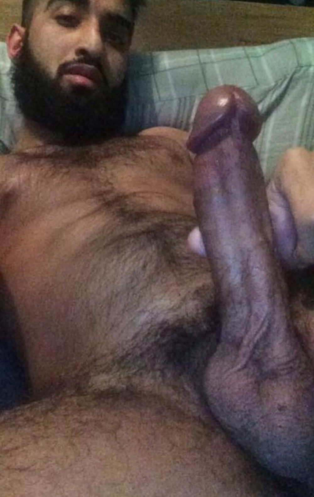 Huge Caucasian member