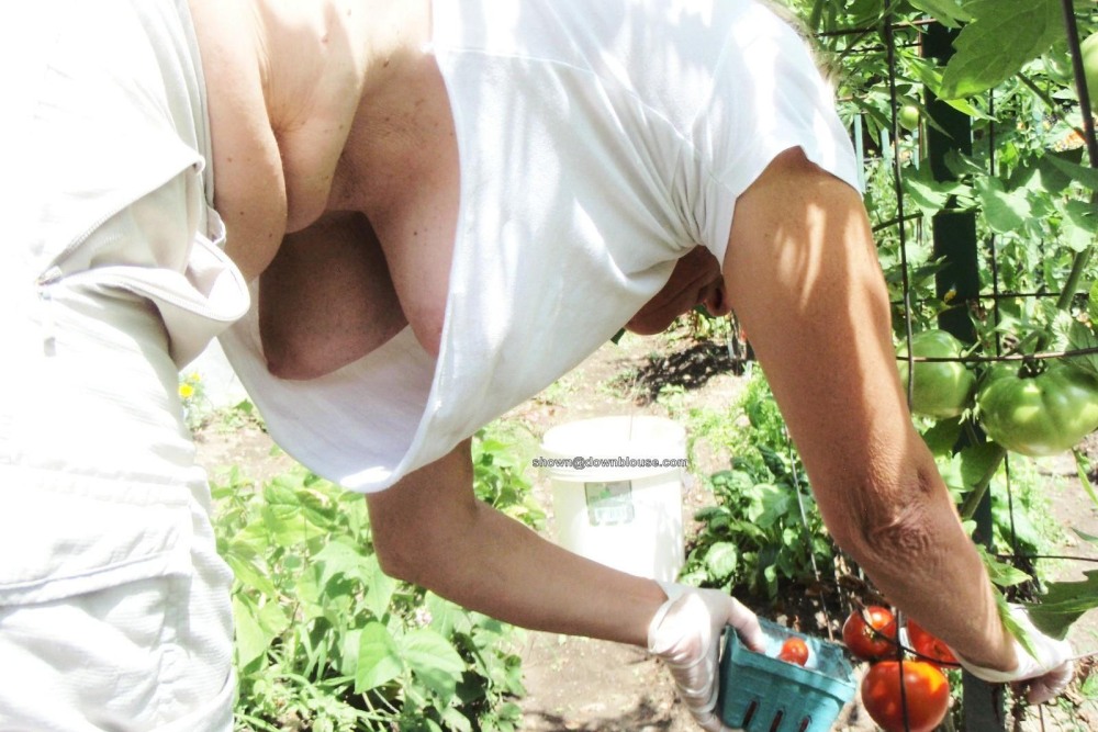 Lit up tits in the garden